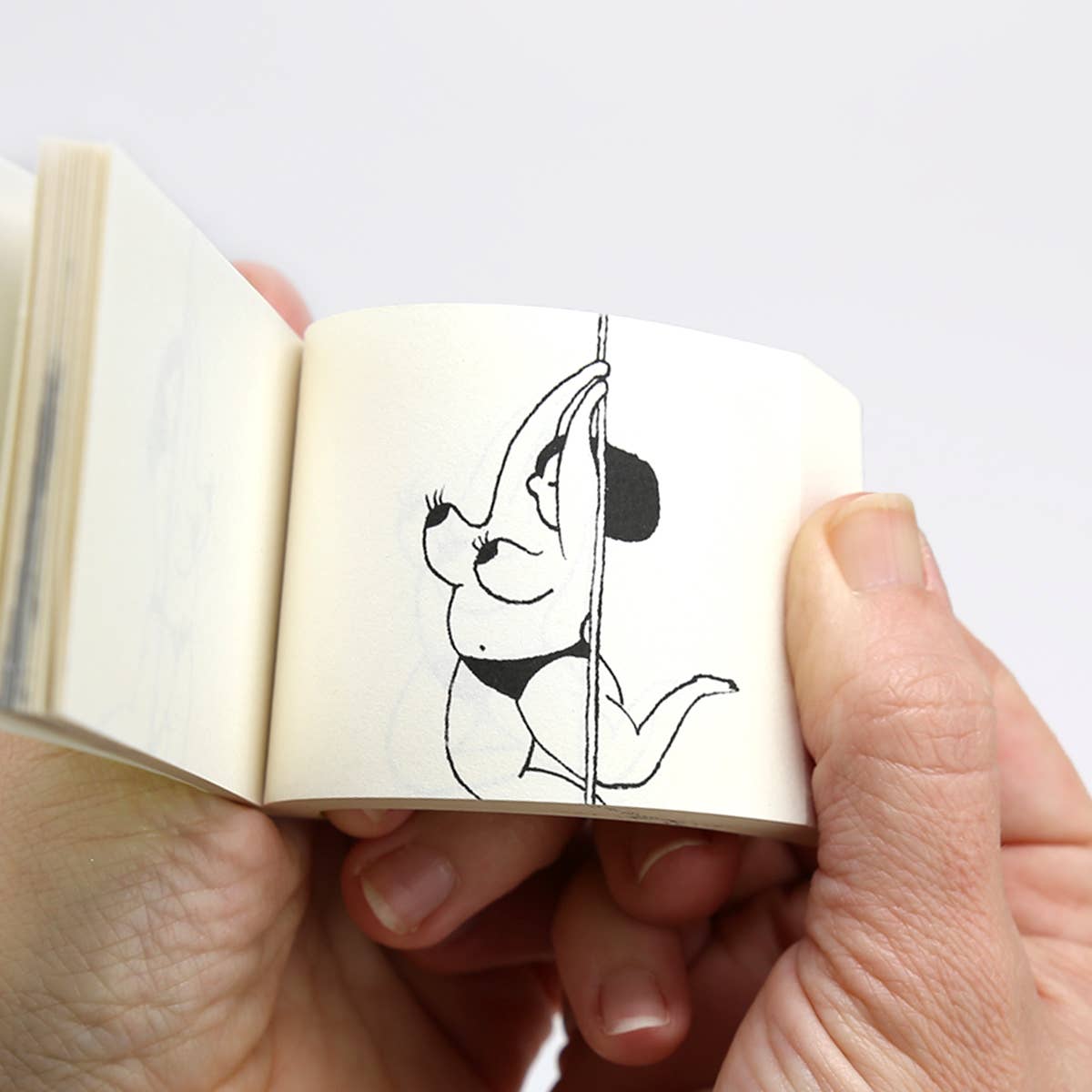 Flipboku - Spicing Things Up flipboek