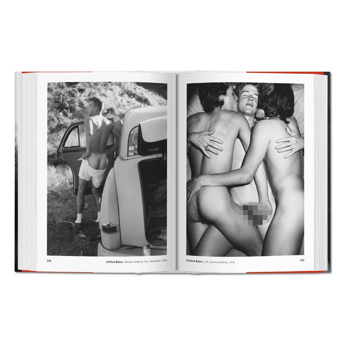 TASCHEN Europe - The Male Nude (Duits, Frans, Engels)