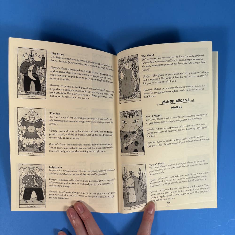 Microcosm Publishing & Distribution - Magische Katten Tarot Gids (Zine)