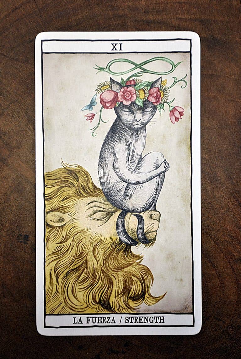 Cardshouse - Tarotkaarten van katten door Ana Juan
