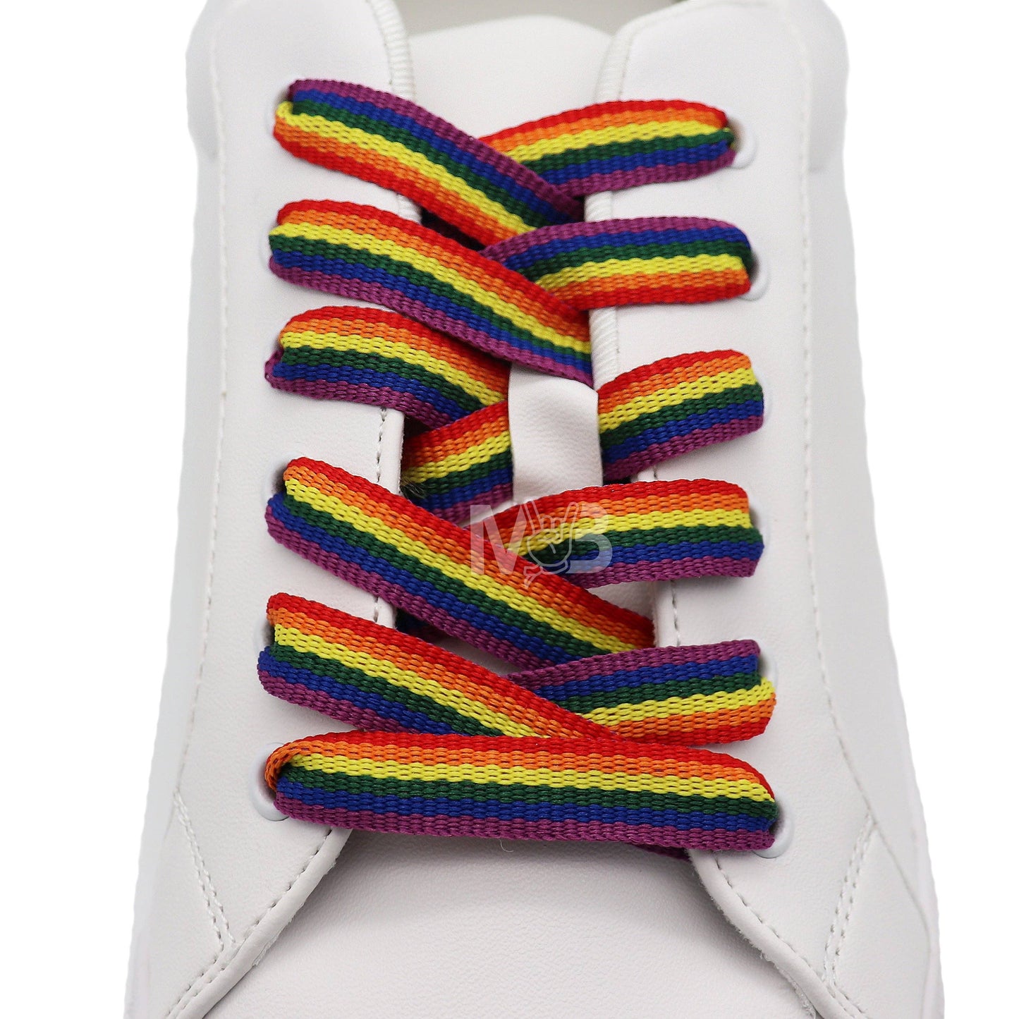 Merchbaendchen - Regenboog Veters | 120cm (geweven)