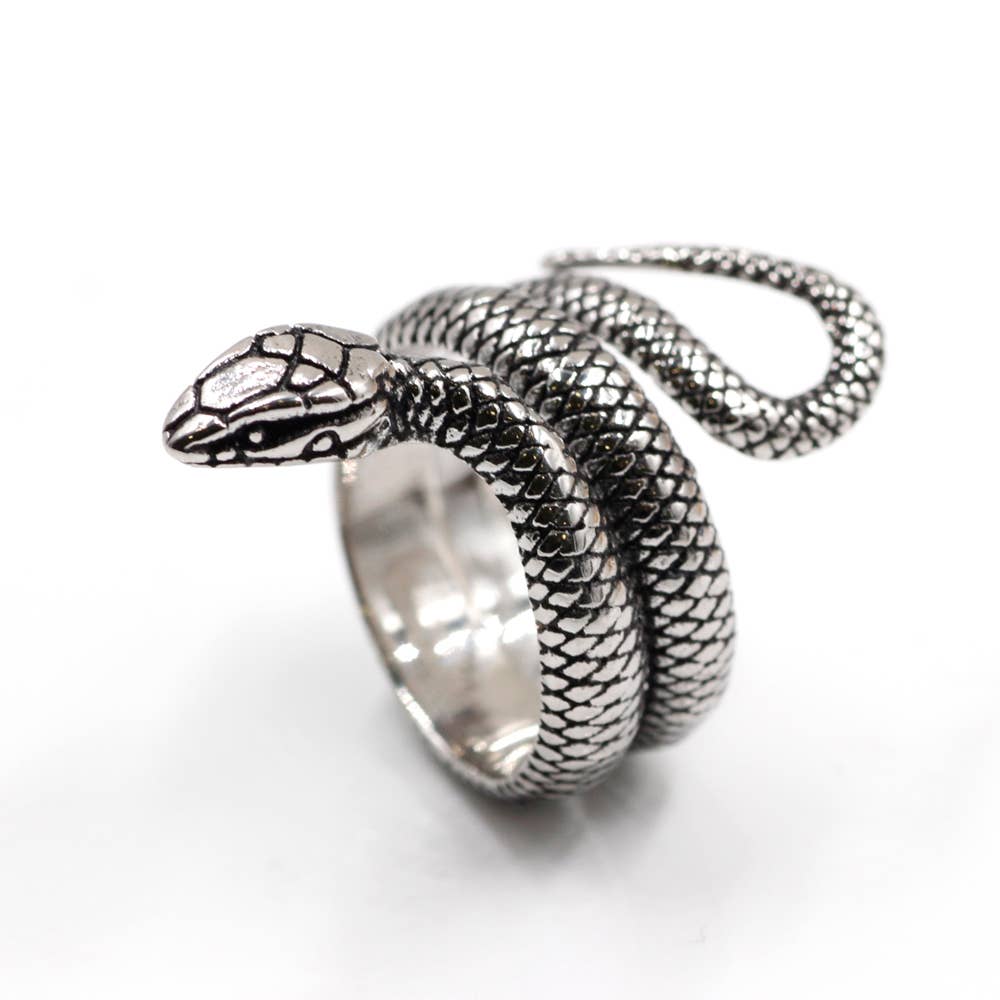 Awaken - Vintage slang ring A-456: Staal / 9