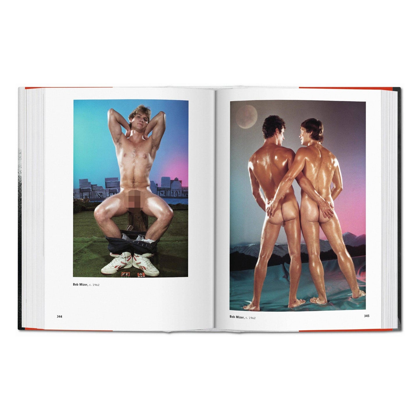 TASCHEN Europe - The Male Nude (Duits, Frans, Engels)