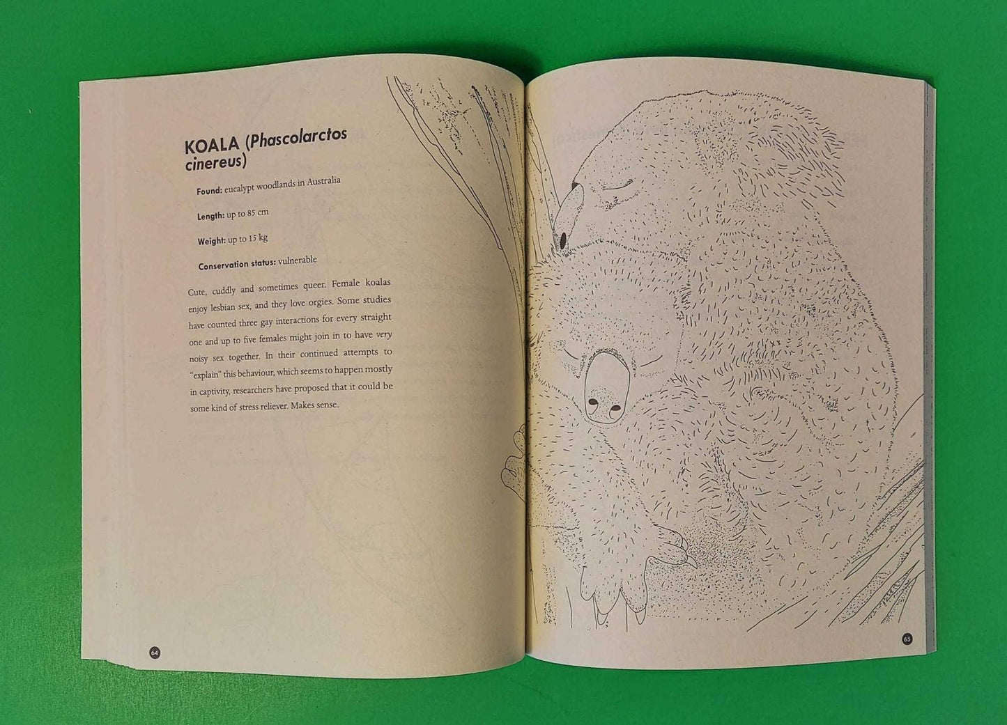 Microcosm Publishing & Distribution - Kleurboek Queer dieren en planten