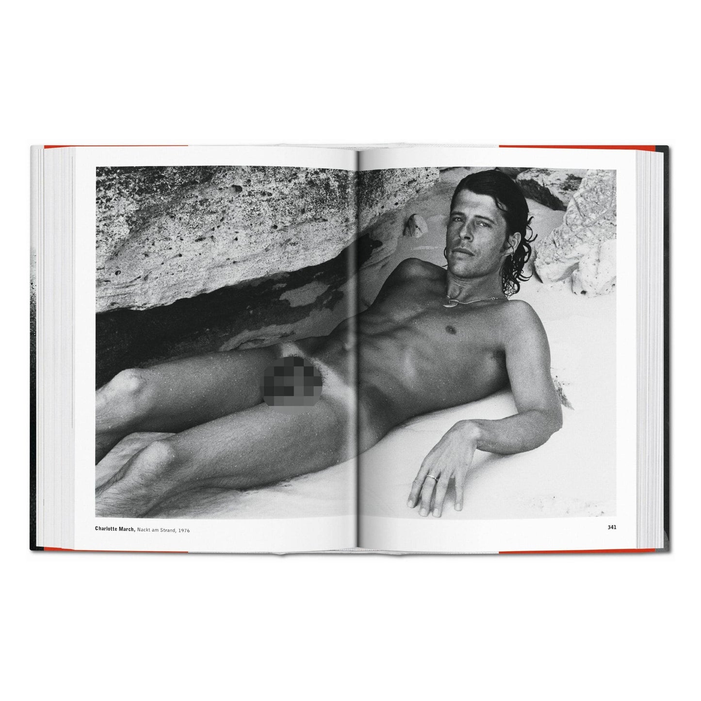 TASCHEN Europe - The Male Nude (Duits, Frans, Engels)