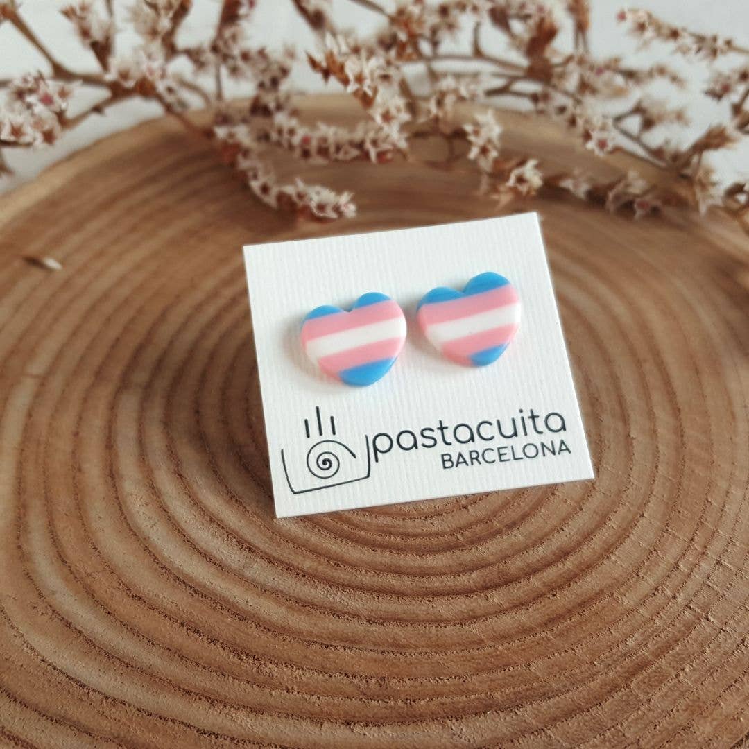 PASTACUITA - Transgender pride oorstekers, handgemaakt met liefde: Rond 12 mm / Roestvrij staal, polymeerklei