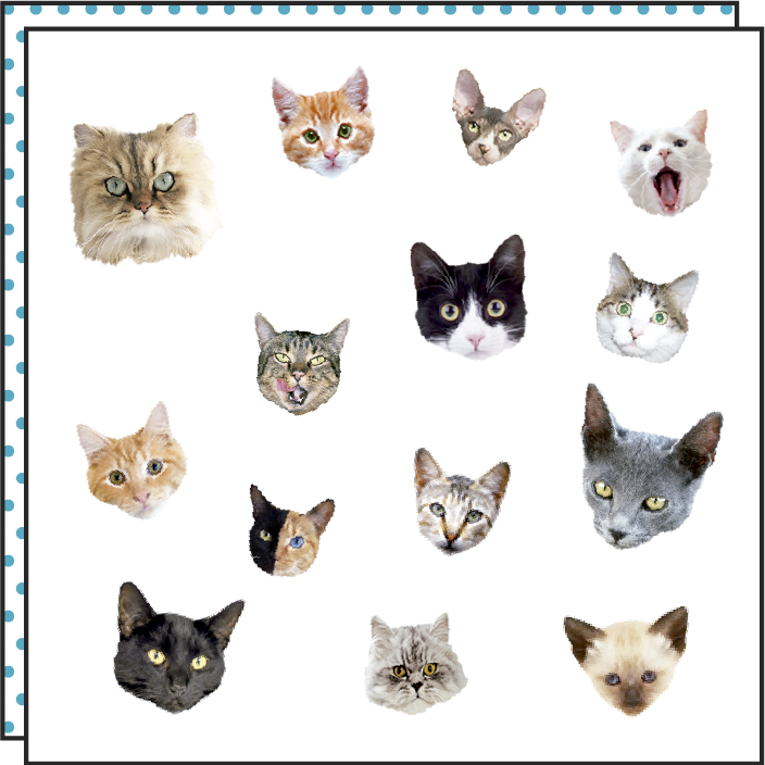 Tattoonie - CAT PARADE tijdelijke tattoo (set van 2)