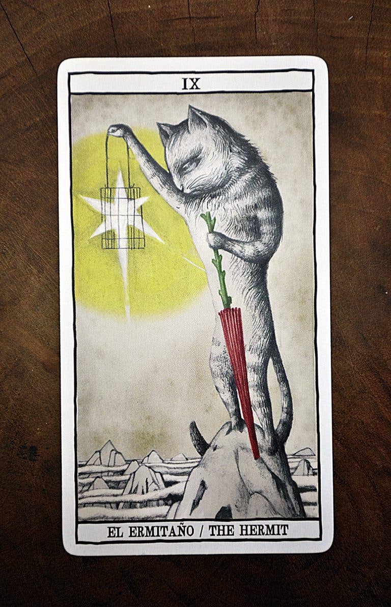 Cardshouse - Tarotkaarten van katten door Ana Juan