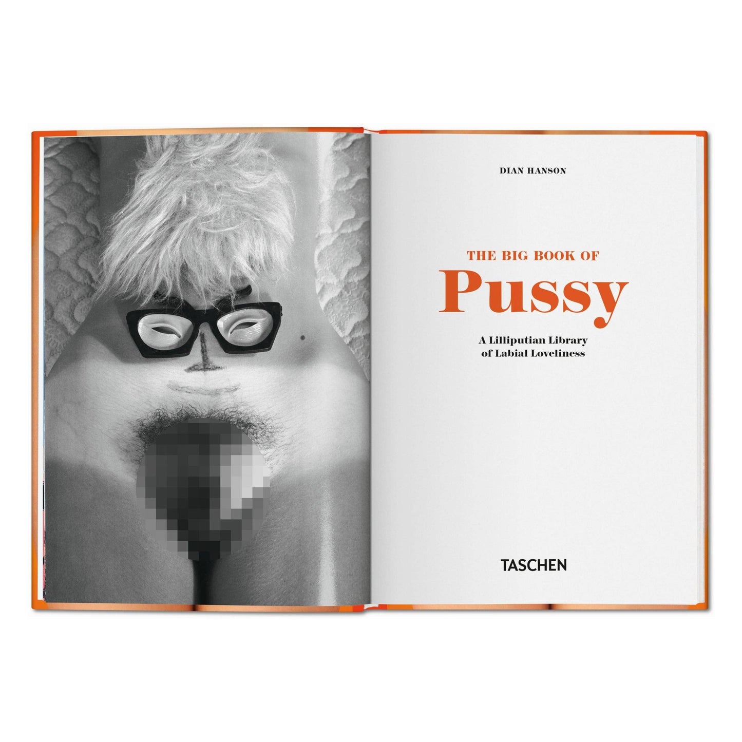 TASCHEN Europe - The Little Big Book of Pussy (Duits, Frans, Engels)