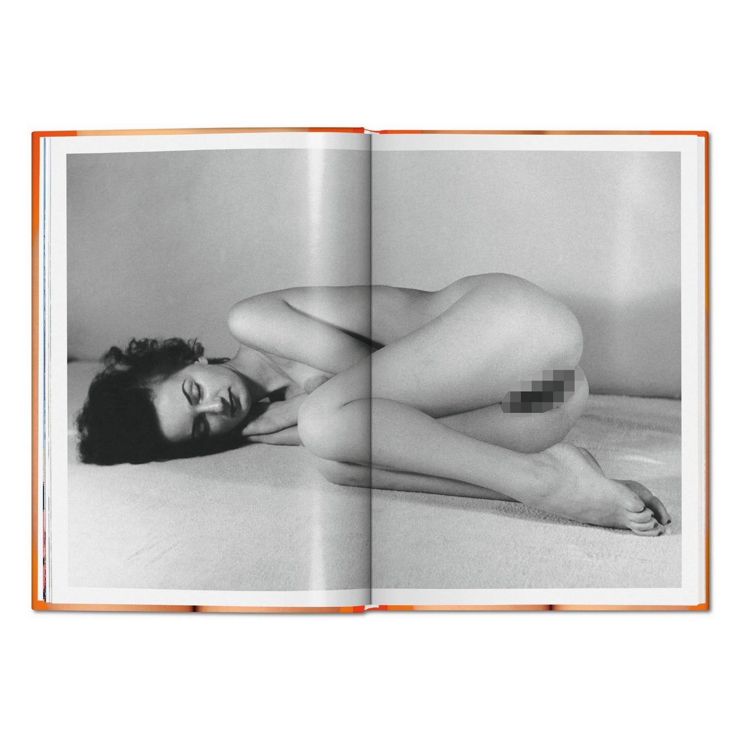 TASCHEN Europe - The Little Big Book of Pussy (Duits, Frans, Engels)