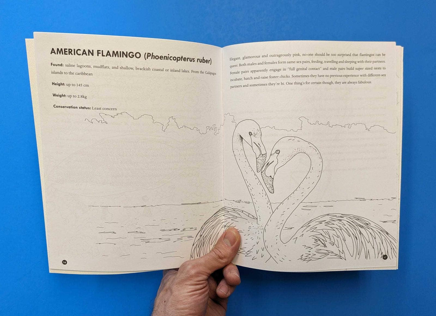 Microcosm Publishing & Distribution - Queer dieren kleurboek zine