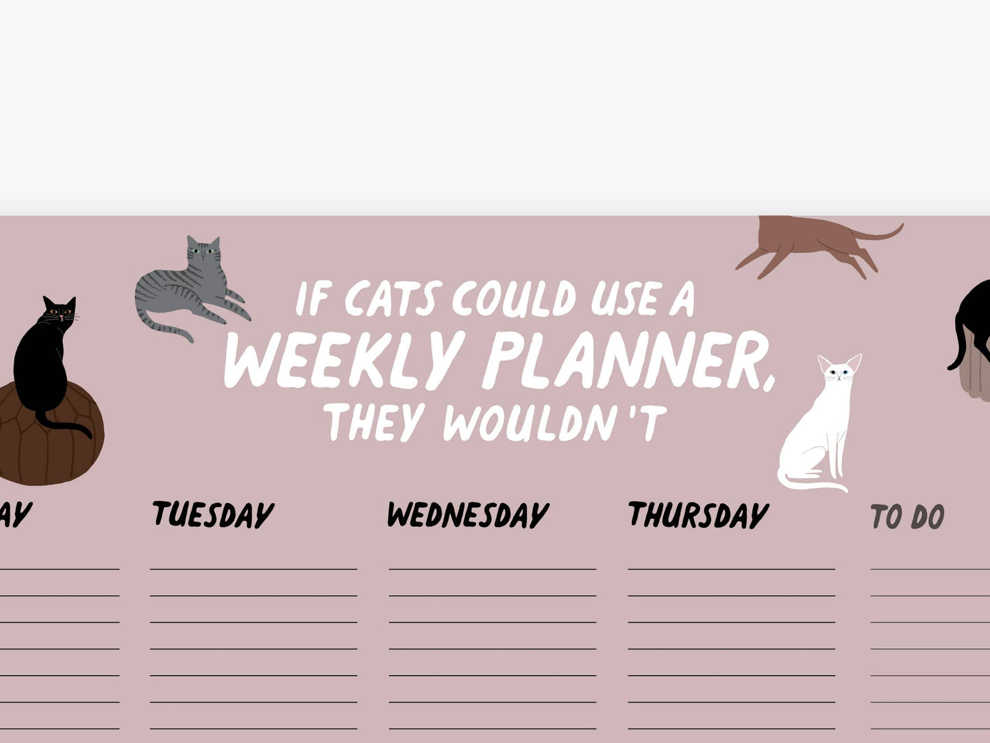 typealive - Wekelijkse planner / Petisfaction “CATS”