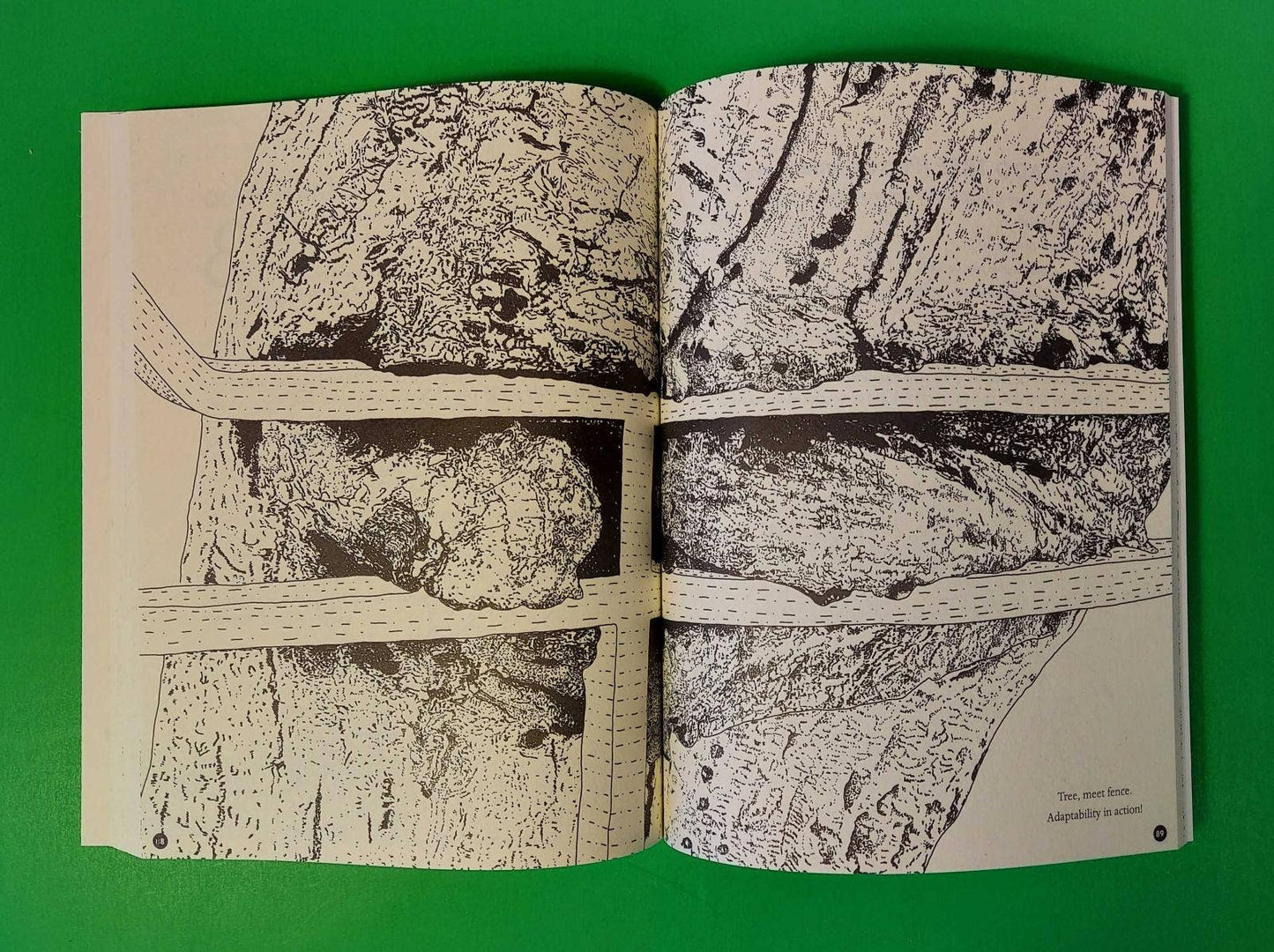 Microcosm Publishing & Distribution - Kleurboek Queer dieren en planten