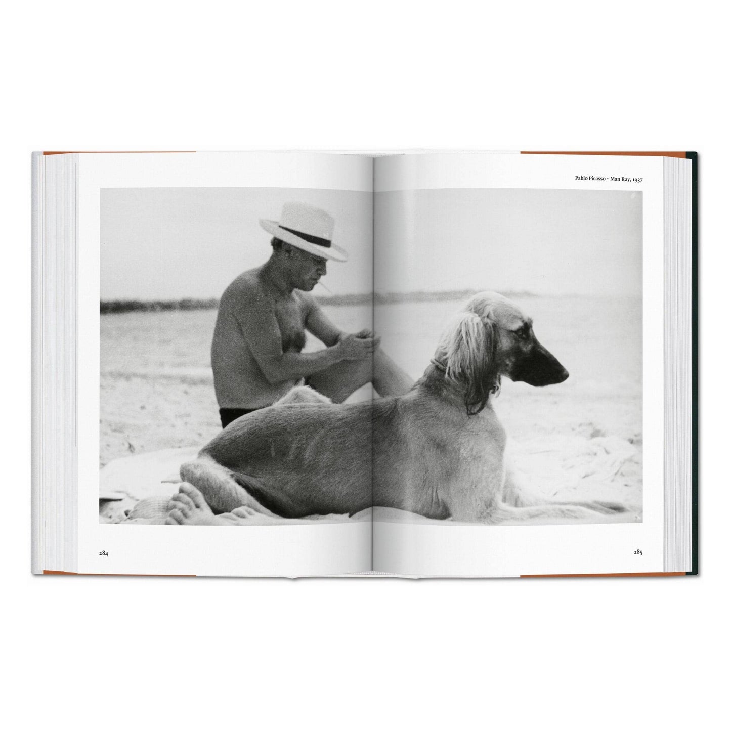 TASCHEN Europe - De hond in de fotografie 1839—vandaag (Duits, Frans, Engels)