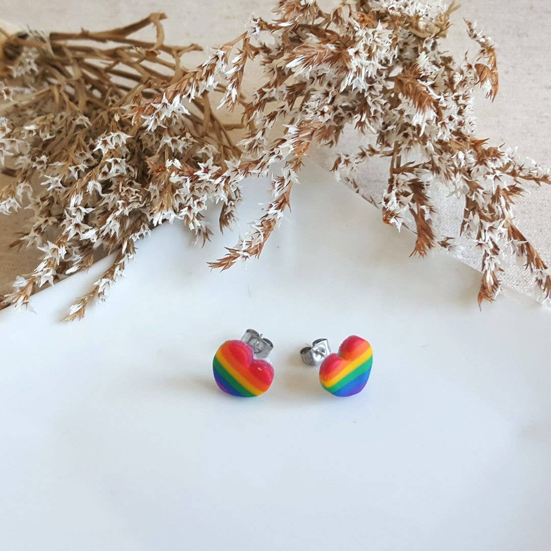 PASTACUITA - Regenboog Pride LGBT oorstekers van polymeerklei: Rainbow 3 verschillende paren / Roestvrij staal, polymeerklei