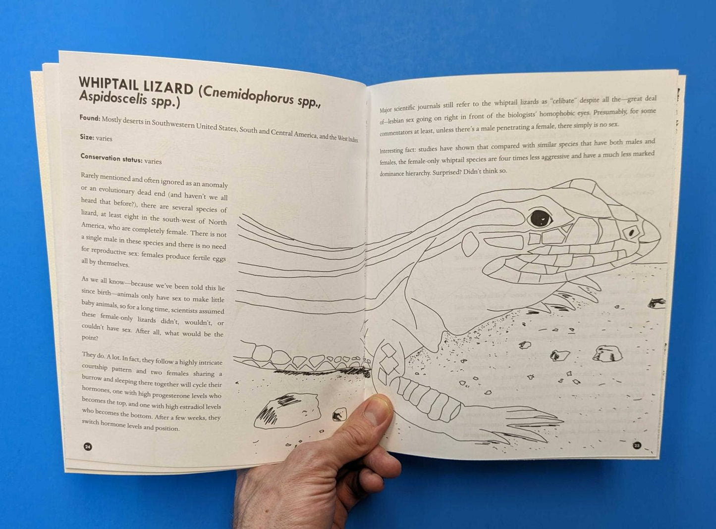 Microcosm Publishing & Distribution - Queer dieren kleurboek zine