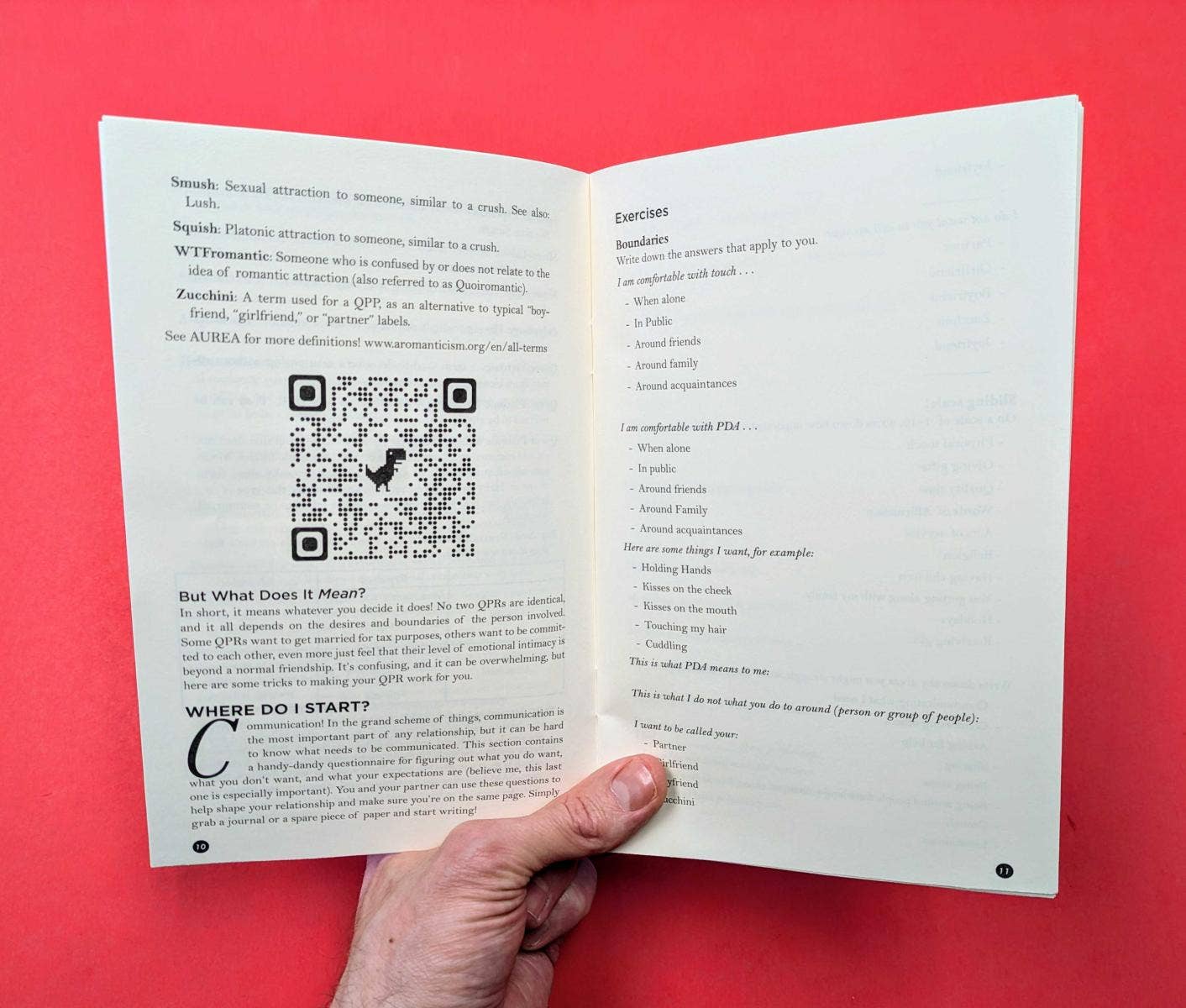Microcosm Publishing & Distribution - Queer platonische relaties: een gids (Zine)