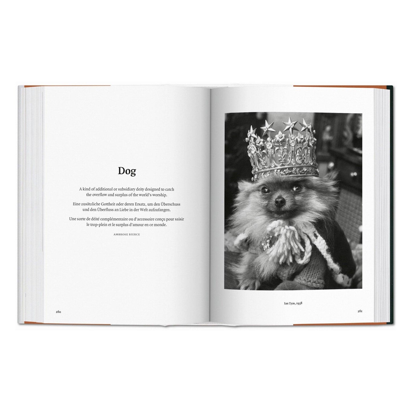 TASCHEN Europe - De hond in de fotografie 1839—vandaag (Duits, Frans, Engels)