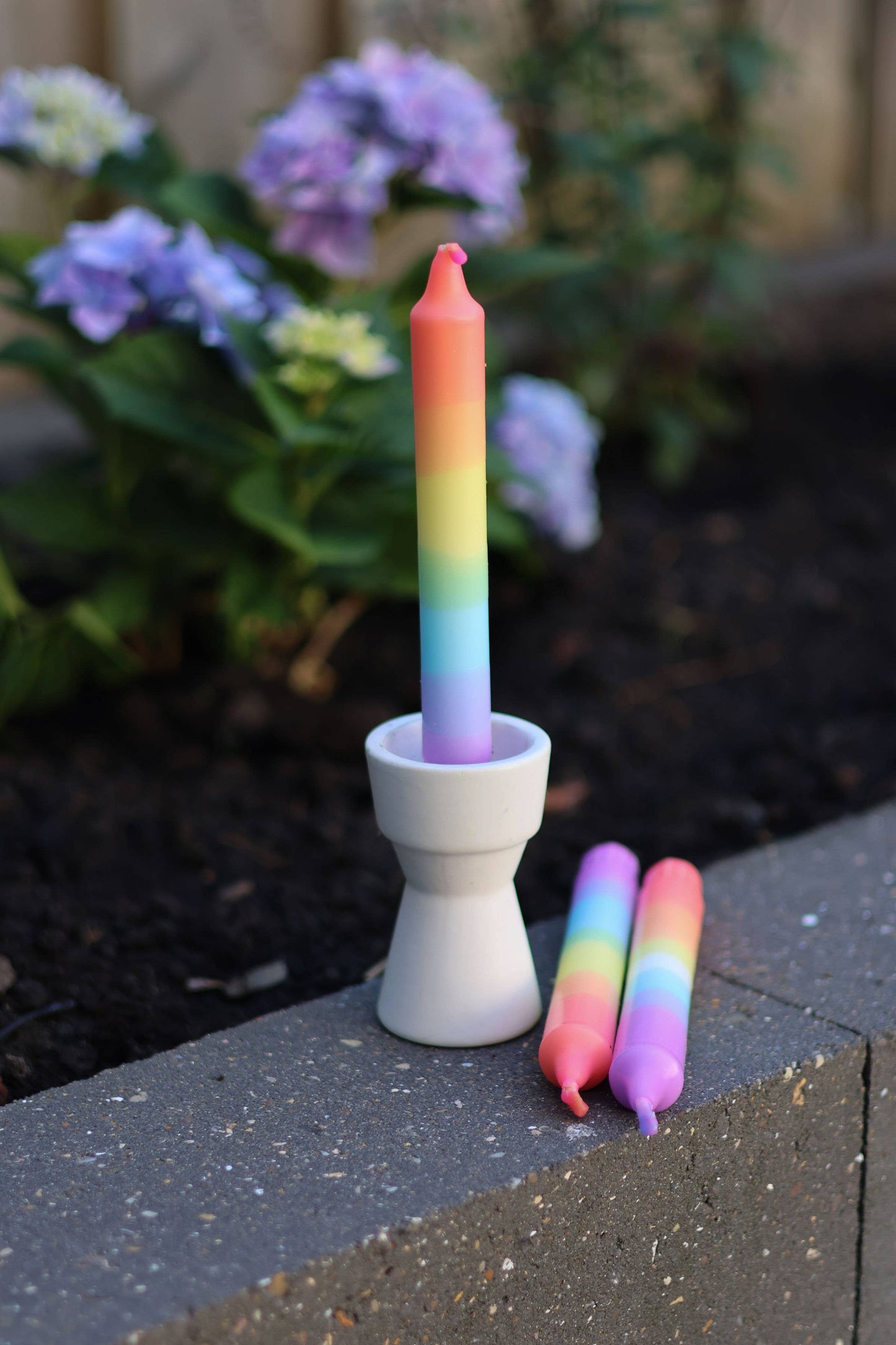 Dippy - Rainbow Collection