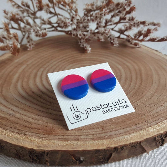 PASTACUITA - Biseksuele pride LGBT oorknopjes van polymer klei: Rond 12 mm / Roestvrij staal, polymeerklei