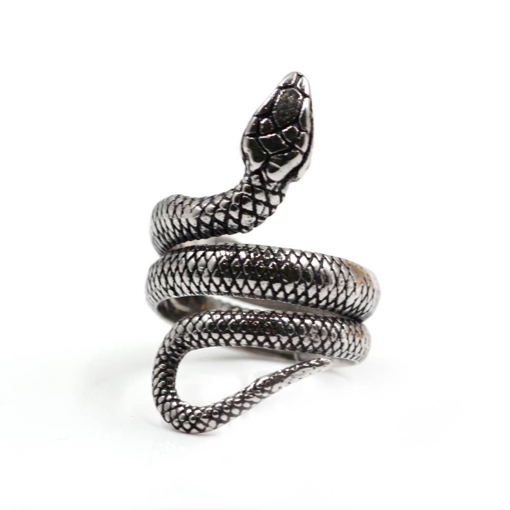 Awaken - Vintage slang ring A-456: Staal / 9
