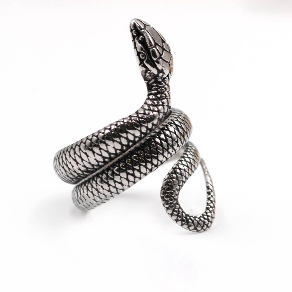 Awaken - Vintage slang ring A-456: Staal / 9