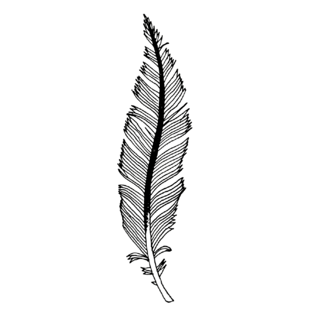 Tattoonie - BE FEATHER Tattoo (verpakking van 2)