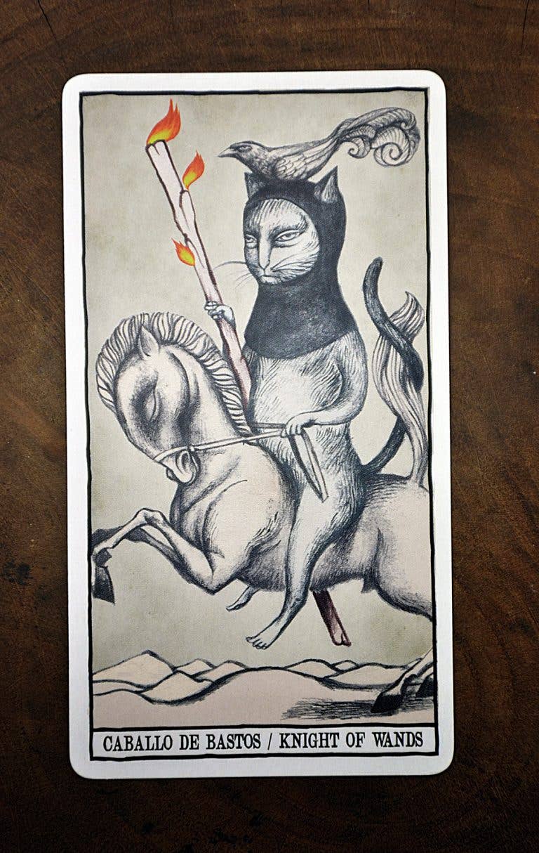 Cardshouse - Tarotkaarten van katten door Ana Juan